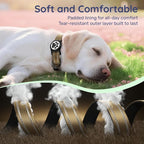 Airtag Dog Collar, Reflective Ultra-Durable Nylon Padded with QR Buckle & IP68 Waterproof Air Tag Holder Compatible for Apple AirTag, Comfortable for Small Medium Large Dogs (Brown,XL)