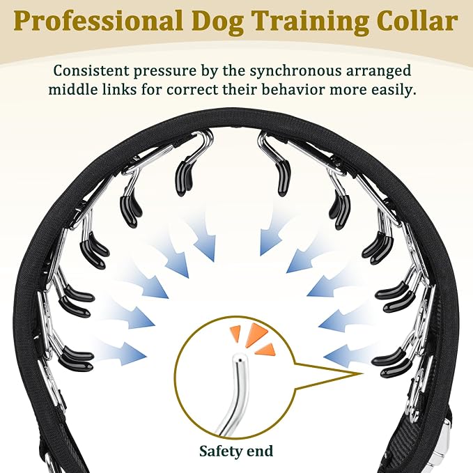 Mayerzon Prong Collar for Large Medium Dogs with Metal Buckle | No Pull Pinch Collar with Hidden Covered Walking Training for Pitbull German Shepherd Doberman Patented