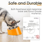 SuperDesign Mess Free 15° Slanted Bowl for Dogs and Cats, Tilted Angle Bulldog Bowl Dog Feeder, Non-Skid & Non-Spill, Easier to Reach Food S/0.5 Cup Bright Orange