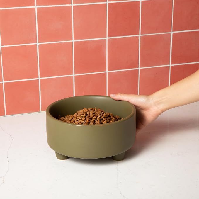 Waggo Uplift Ceramic Dog Bowl for Small Medium and Large Breeds - Heavyweight and Durable Pet Food and Water Dish Crock, Dishwasher Safe, Modern, Elevated Feeder (Olive, Large)