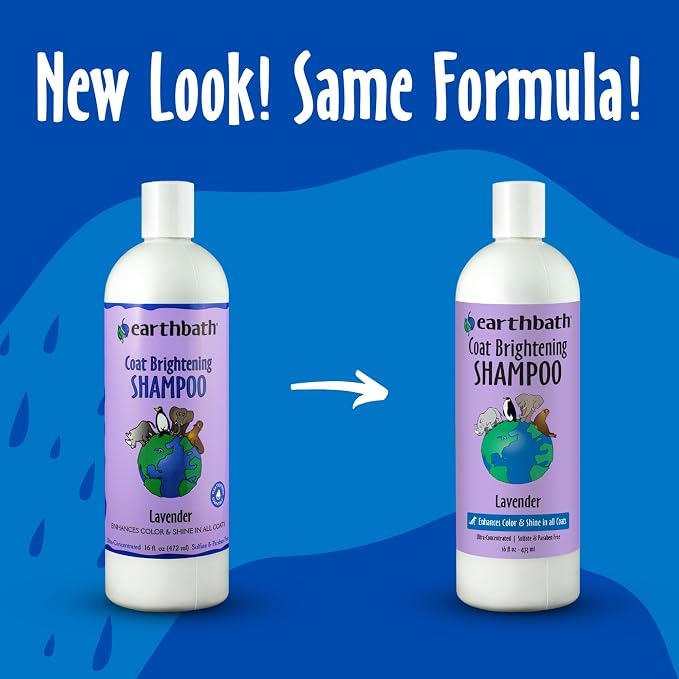 earthbath Lavender Dog Shampoo, Deodorizing Dog Wash, 16 Oz (1 Pack) | Coat Brightening Shampoo for Dogs, Made in USA, Cruelty Free Pet Shampoos