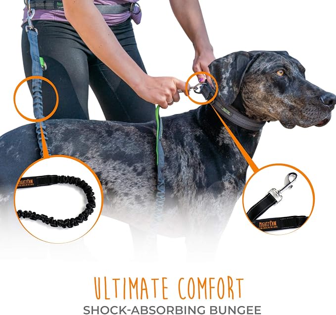 Mighty Paw Hands Free Dog Leash | Bungee Waist Leash for Dog Walking. Pet Running Hands Free Tether for Large, Medium & Small Breeds. Pet Waist Belt (36" - 48") Up to 150 lbs - Black