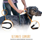 Mighty Paw Hands Free Dog Leash | Bungee Waist Leash for Dog Walking. Pet Running Hands Free Tether for Large, Medium & Small Breeds. Pet Waist Belt (36" - 48") Up to 150 lbs - Black