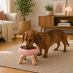 INW Elevated Ceramic Pet Bowl with Wooden Stand – Raised Cat & Dog Feeder, Interchangeable, Anti-Tip, Dishwasher Safe, 12 oz, Easy to Clean – Pink