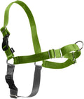 PetSafe Easy Walk No-Pull Dog Harness - Ultimate Harness to Help Stop Pulling - Pull-Free Walks - Take Control & Teach Better Leash Manners - Patented Martingale Loop Design - Apple Green,Medium/Large