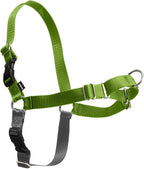 PetSafe Easy Walk No-Pull Dog Harness - Ultimate Harness to Help Stop Pulling - Pull-Free Walks - Take Control & Teach Better Leash Manners - Patented Martingale Loop Design - Apple Green, Medium