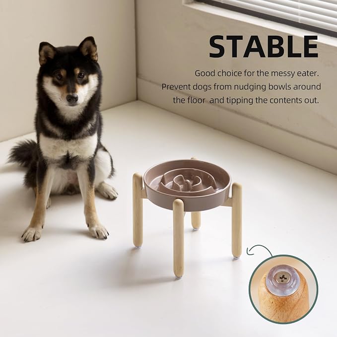 Havniva Elevated Slow Feeder Dog Bowls, Ceramic Dog Bowl Slow Feeder | 1.6 Cups Raised Slow Feeding Bowl for Medium Breed, Puzzle Dog Food Bowl with Wooden Stand, Non-Slip, Anti-Choking