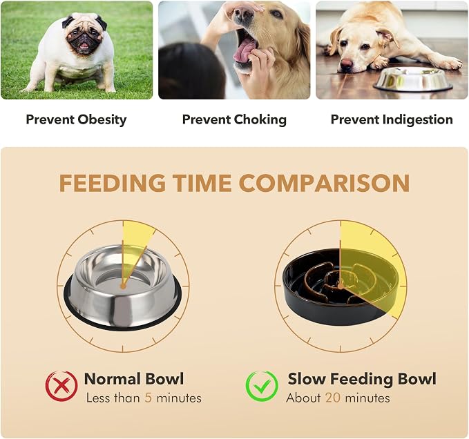 Havniva Raised Slow Feeder Dog Bowls, Elevated Dog Bowls Slow Feeder Set | 1.6 Cups Ceramic Dog Bowl Elevated with Acacia Wood Stand, Raised Dog Food Bowl, Puzzle Slow Feeder for Medium Dogs, Non-Slip