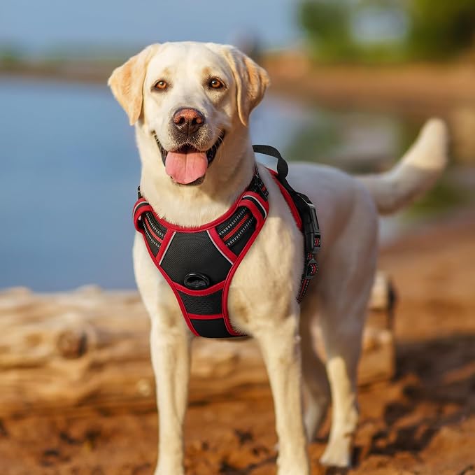rabbitgoo Dog Harness, No Pull for Large Dogs with 2 Leash Clips, Pet Vest | No Choke with Handle, Adjustable Soft Padded, Reflective, Easy Control for Walking, Black & Red, Large