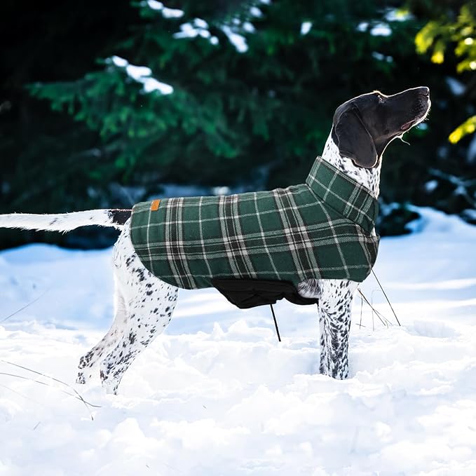 Kuoser Waterproof Dog Coat, Reversible Dog Jacket for Medium Dogs, Green M | Adjustable Durable Doggie Winter Coat Warm Puppy Cold Weather Apparel from Small to Large Breed