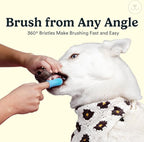 Jasper Dog Toothbrush, 360° Finger Toothbrush for Dogs, Multicolor 4-Pack | 12x More Bristles, Teeth Cleaning Kit for Small & Large Pets, Toothpaste Not Included, Fights Bad Breath, Extra Soft Silicone