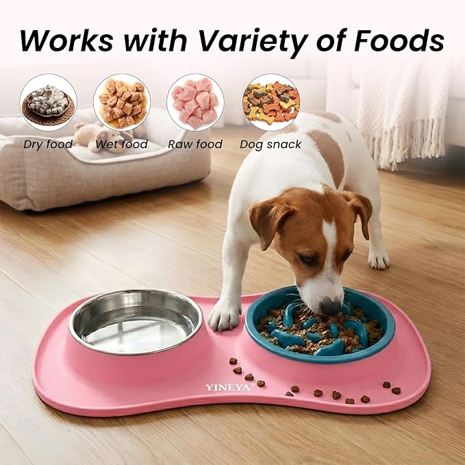 YINEYA 3 in 1 Slow Feeder Dog Bowls,Dog Water Bowl,Cat and Dog Food Bowl | Stainless Steel Dog Bowls with Non-Spill Dog Bowl Mat, Anti-Choking Puppy Bowls, Easy Clean for Large Medium Small Dogs Cats