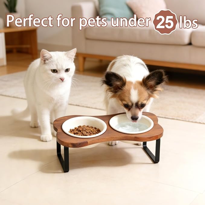 SPUNKYJUNKY Ceramic Elevated Tilted Dog Bowls Bone-Shaped Raised with 2 Height Iron Stand, 5.9'' Dog and Cat Food Water Bowls Set Non-Slip for Small Sized Breed - 13.5 OZ,Beige