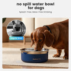 Gardner Pet Slow Water Bowl for Dogs – No Spill, Anti-Splash Floating Plate Design, Slows Drinking to Reduce Mess, Keeps Water Clean & Floors Dry, 2L