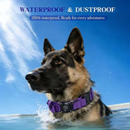 AirTag Dog Collar for Large Dogs Tactical Dog Collar with AirTag Holder | Upgrade Waterproof,Control Handle,Quick-Release Metal Buckle,1000D Nylon Fabric,Soft-Padded Webbing,Velcro Patch(Purple,XXL)