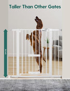 Babelio 36" Tall Baby Gate with Cat Door, CatPrivilege II, 29-40" | 6-Level Adjustable Metal Pet Gate, Auto-Close Safety Gates with Pet Door, Easy Walk Thru, White
