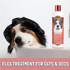 Bio-Groom Flea & Tick Dog Shampoo & Repel 35 Spray - Flea & Tick Prevention Treatment for Dogs & Cats, Natural Fly Repellent for Dogs & Horses, Cruelty-Free, Made in USA - Pack of 2