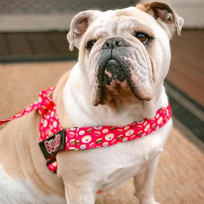 BULLHUG Adjustable Dog Harness– No Pull, No Choke – for English Bulldogs, French Bulldogs, Pugs & Broad-Chested Breeds – Easy, Safe Walks (Skull, Large)