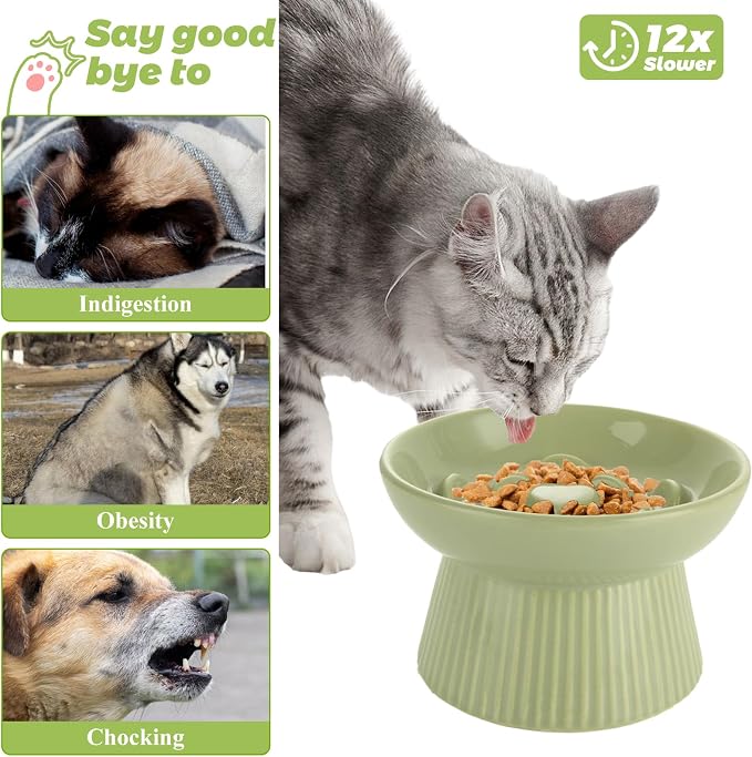 ABuff 2 Pack Raised Cat Slow Feeder, Elevated Slow Feed Dish for Cats and Small Dogs, Ceramic Slow Feeder Cat Bowl, No Spill High Edge for Dry/Wet Food(Blue, Green)