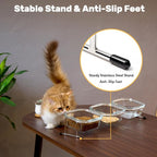 Elevated Cat Bowls, 15° Tilted Glass Raised Cat Food and Water Bowl | Stainless Steel Stand, 3 Large Capacity Glass Cat Bowls and 4 Anti Slip Feet, Suitable for Cats and Little Dogs