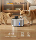 Stainless Steel Cat Water Fountain, 186fl.oz/1.45Gal Cordless Dog Fountain | Wireless Pet Fountain; 5000mAh Battery; Indoor; Triple Water Modes; 25 dB Ultra-Quiet