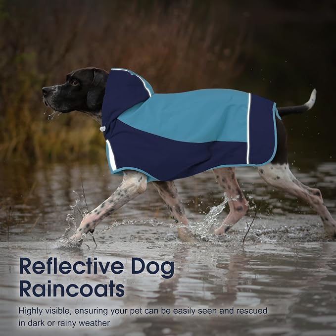 IECOii Hooded Dog Raincoat,Reflective Large Dog Rain Poncho,Ensure Safety in Low - Light Conditions, Adjustable Fit with Magic Sticker,Lightweight Waterproof Pet Rain Coat,Blue,XXL