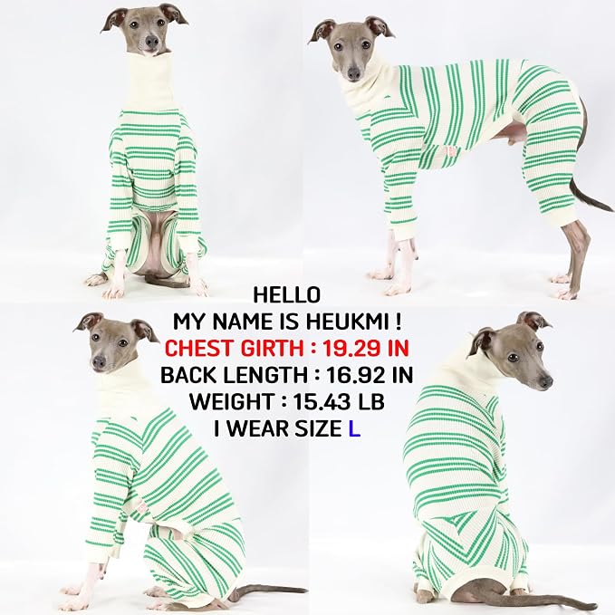 D Doggy Star Italian Greyhound Clothes Soft Stretchy Onesie Refined Stripe Outfit Whippet for Dog Coat (L,Onsi Green Str)