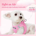 rabbitgoo Dog Harness Small Sized and Leash Set, Step-in Puppy Pet Vest | Light, Soft, Breathable Air Mesh, Easy on and Remove with Hook & Loop, Secure Reflective for Walking, Light Pink XS