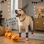 EXPAWLORER Halloween Anti Slip Dog Socks to Prevent Licking Paws, Boots & Paw Protectors with Spider Web Grippers,Doggie Booties for Hardwood Floors for Small Medium Large Senior Dogs Orange Pumpkin L