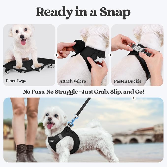 rabbitgoo Dog Harness Small Sized and Leash Set, Step-in Puppy Pet Vest | Light, Soft, Breathable Air Mesh, Easy on and Remove with Hook & Loop, Secure Reflective for Walking, Black XXXS