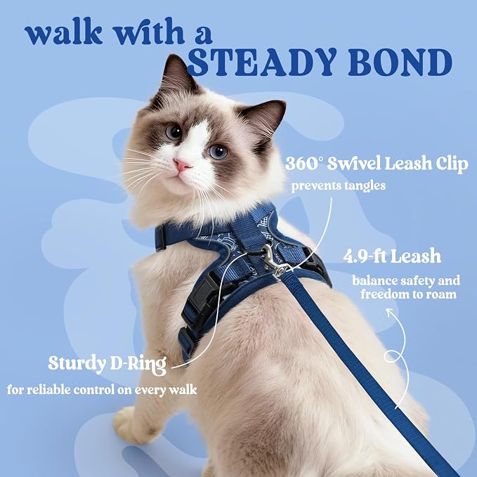 rabbitgoo Cat Harness and Leash Set, Escape Proof Vest, Cosmic Ace | Soft Breathable Mesh, Easy Adjustable Fit, Snap Buckles, Sturdy Clip, Reflective Strips, for Small & Average Cats Walks, Xs