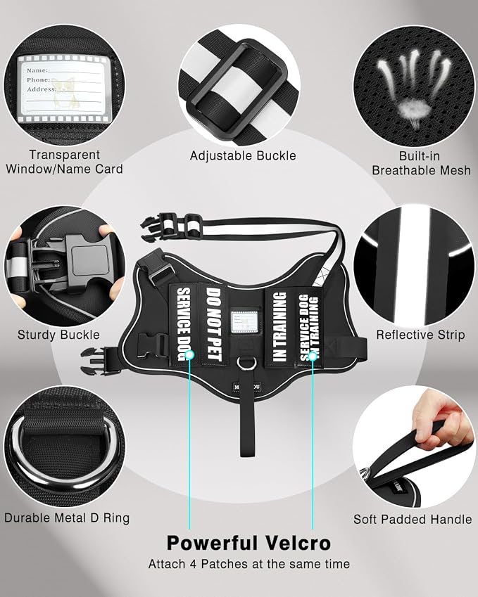 Service Dog Vest Harness and Leash Set+10 Patches for Puppy Small Dogs,Do Not Pet Emotional Support Dog Vest with 2 Soft Padded Handle for Everyday/Training (Black XS) | Adjustable Reflective Do Not Pet Emotional Support Dog Vest with 2 Soft Padded Han...