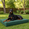 WNPETHOME Outdoor Dog Bed Waterproof, Large Outdoor Dog Bed for Large Sized Dog, Outdoor Indoor Dog Bed with Removable Washable Cover, Egg Crate Foam Dog Crate Mat, Durable Waterproof Dog Bed, Green