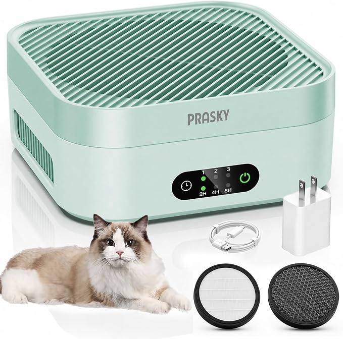 Air Purifiers for Home, 2 Filter, Plug-in, Quiet H13 True HEPA Purifier Car | Portable, Travel/RV/Desk/Bedroom/Office, 600 Ft², Captures Smoke/Odor/Pet Dander, Timer, USB Powered - Green