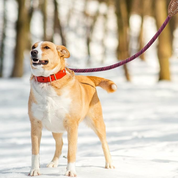 Mile High Life Dog Leash with Genuine Leather Connection, 6 FT/5 FT/4 FT | Rope Leash, Heavy Duty 360° Swivel Metal Clasp, for Small Medium & Large Dogs (Rose Red, 48 Inch)