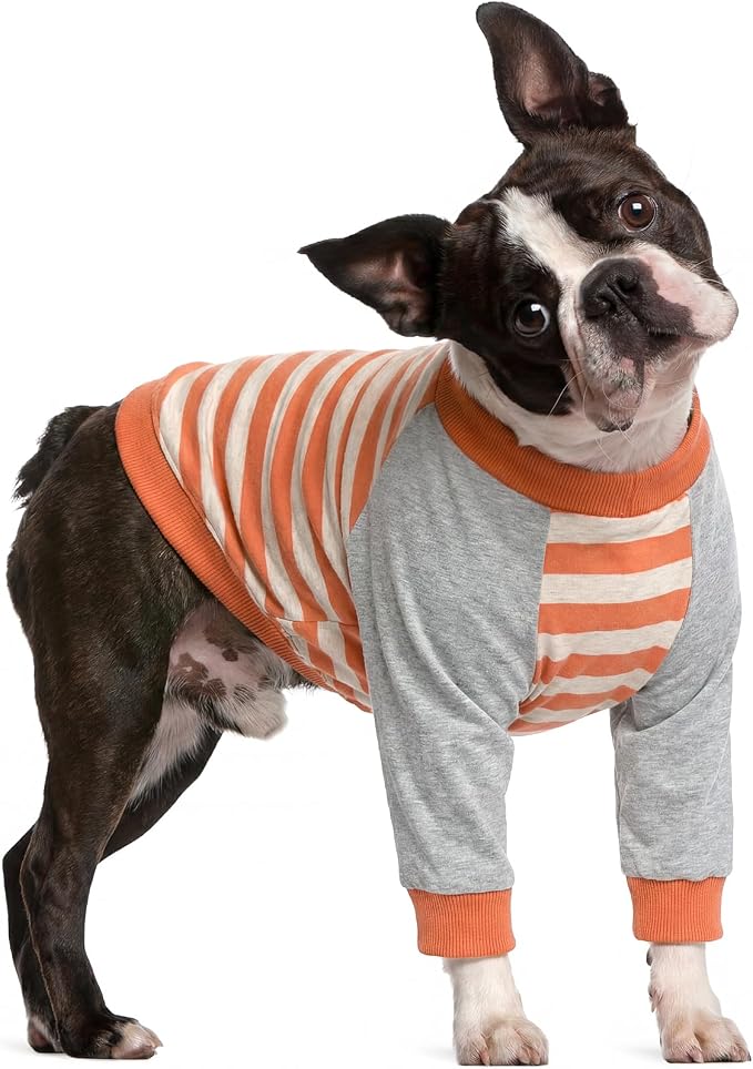 FUAMEY Dog Recovery Sleeve Shirt with Elbow Pads, Orange Stripes, S | Elbow Protector, Stop Licking Joints, Protecting Front Leg Arm Wounds, Cover Skin Conditions,Hot Spots