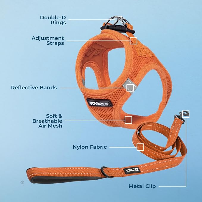 Best Pet Supplies Voyager Step-in Air All Weather Mesh Harness and Reflective Dog 5ft Leash Combo with Neoprene Handle, for Small, Medium and Large Breed Puppies - Orange, Medium