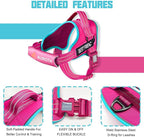 AUROTH Dog Harness and Leash Set, Soft Padded Service Dog Vest with 5.25FT Dog Leash, No Choke, Easy On Pet Vest, Adjustable Reflective No Pull Pet Vest Medium Sized Dog, Easy Walking and Training