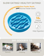 Ceramic Slow Feeder and Water Bowl Set for Medium and Large Dogs, 2.0 Cups Dog Slow Feeder(30oz) and 70oz Water Bowl Set, 8in, Baby Blue