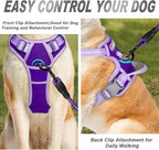 BARKBAY No Pull Dog Harness Front Clip Heavy Duty Reflective Easy Control Handle for Large Dog Walking(Violet Purple & Purple,XL)