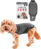 BellyGuard Dog Surgery Recovery Suit, Post-Op Dog Recovery Suit for Female Spay & Male Neuter, Comfy Onesie for Pets, Surgical Body Cover for Canine Healing Support