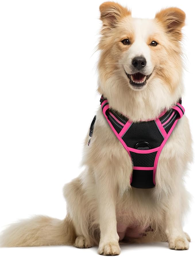 rabbitgoo Dog Harness, No Pull Medium Sized with 2 Leash Clips, Pet Vest | No Choke with Handle, Adjustable Soft Padded, Reflective, Easy Control for Walking, Black & Hot Pink, Medium