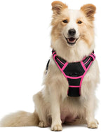 rabbitgoo Dog Harness, No Pull Medium Sized with 2 Leash Clips, Pet Vest | No Choke with Handle, Adjustable Soft Padded, Reflective, Easy Control for Walking, Black & Hot Pink, Medium