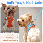 rabbitgoo Dog Harness Small Sized and Leash Set, Step-in Puppy Pet Vest | Light, Soft, Breathable Air Mesh, Easy on and Remove with Hook & Loop, Secure Reflective for Walking, Blue & Orange XXS