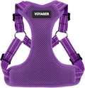 Voyager Step-in Flex Adjustable Dog Harness - Purple, X-Small | 13 - 16" in Chest, Fully Adjustable, Reflective Bands, All Weather Breathable Air Mesh, Lightweight, Fast Drying