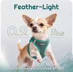 Eagloo Small Dog Harness and Leash Set, Step in Small Sized Puppy Pet Vest | Light, Soft, Breathable Air Mesh, Easy on and off with Hook & Loop, Reflective for Safe Walking, Forest Green, XS