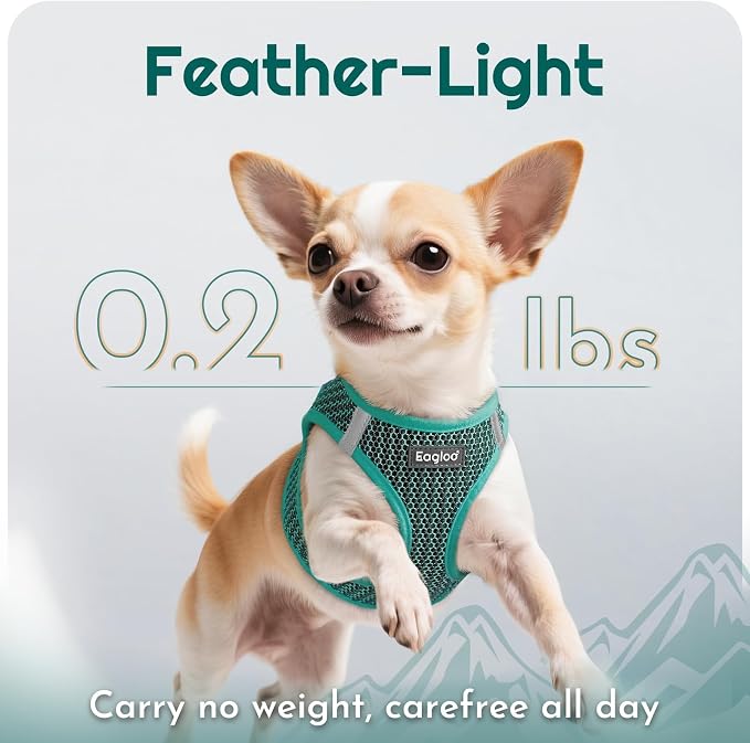 Eagloo Small Dog Harness and Leash Set, Step in Medium Small Puppy Pet Vest | Light, Soft, Breathable Air Mesh, Easy on and off with Hook & Loop, Reflective for Safe Walking, Forest Green, L