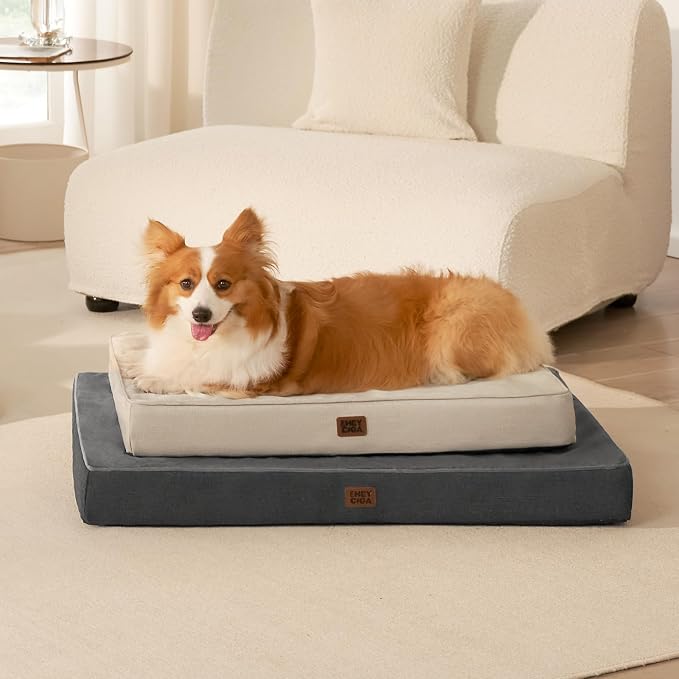 EHEYCIGA Medium Washable Dog Crate Mat Waterproof, 30x20Inch, Dark Grey | High Density Egg Crate Foam, Orthopedic Memory Foam, Removable Easy Clean Cover, Non-Slip Bottom, Fits Crate, Floor and Sofa