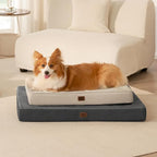 EHEYCIGA Large Orthopedic Memory Foam Dog Bed Washable, 36x27Inch, Beige | High Density Egg Crate Foam, Waterproof Liner, Removable Easy Clean Cover, Non-Slip Bottom, Fits Floor, Camping and Car