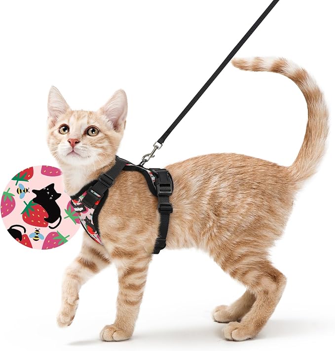 rabbitgoo Cat Harness and Leash Set, Escape Proof Vest, Berry Pounce | Soft Breathable Mesh, Easy Adjustable Fit, Snap Buckles, Sturdy Clip, Reflective Strips, for Average Cats Walks, S